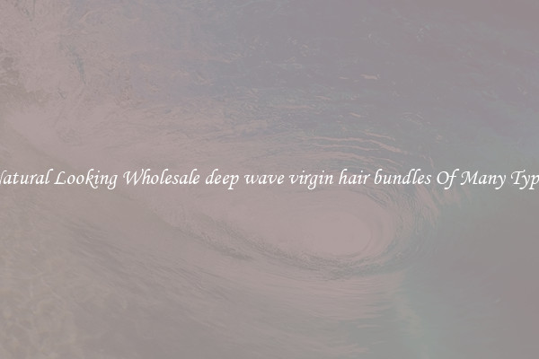 Natural Looking Wholesale deep wave virgin hair bundles Of Many Types