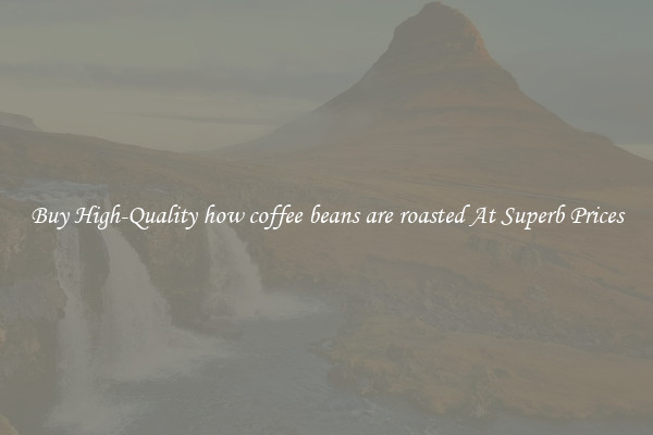 Buy High-Quality how coffee beans are roasted At Superb Prices