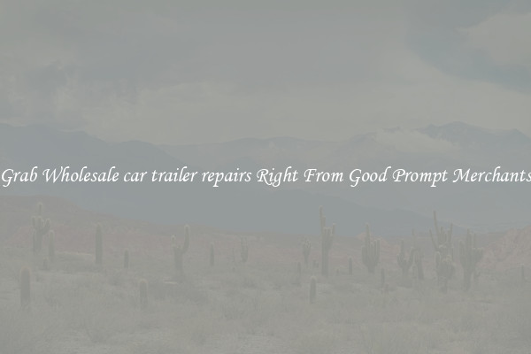Grab Wholesale car trailer repairs Right From Good Prompt Merchants