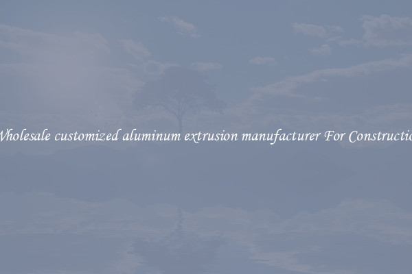 Shop Wholesale customized aluminum extrusion manufacturer For Construction Uses