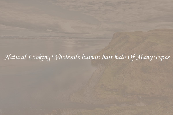 Natural Looking Wholesale human hair halo Of Many Types