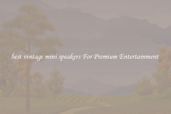best vintage mini speakers For Premium Entertainment 