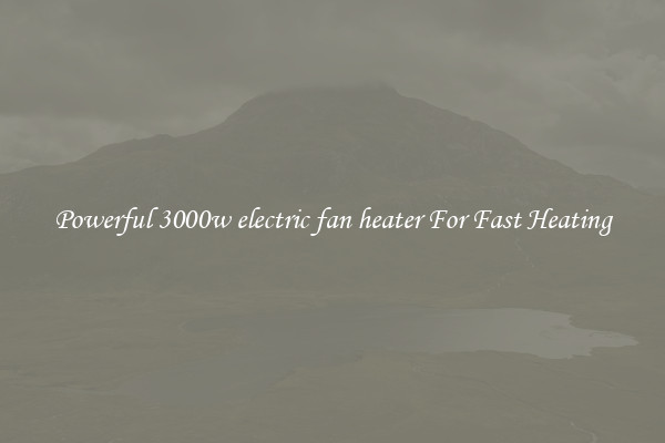 Powerful 3000w electric fan heater For Fast Heating