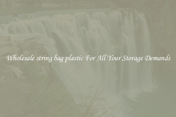 Wholesale string bag plastic For All Your Storage Demands