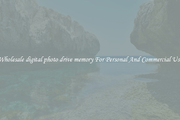 Wholesale digital photo drive memory For Personal And Commercial Use