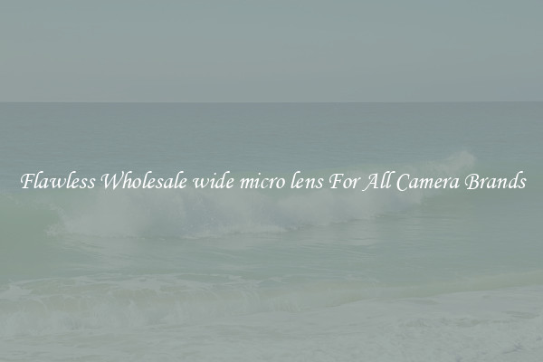 Flawless Wholesale wide micro lens For All Camera Brands