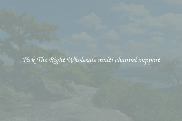 Pick The Right Wholesale multi channel support