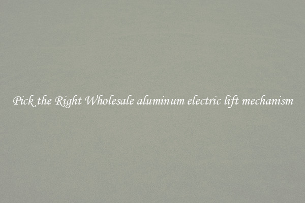 Pick the Right Wholesale aluminum electric lift mechanism