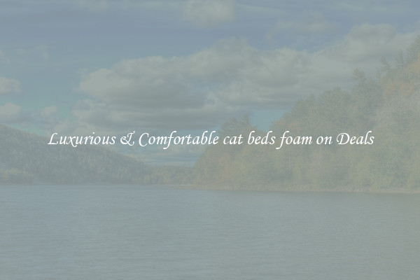 Luxurious & Comfortable cat beds foam on Deals