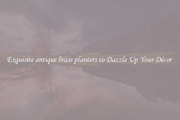 Exquisite antique brass planters to Dazzle Up Your Décor 