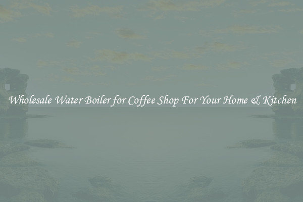 Wholesale Water Boiler for Coffee Shop For Your Home & Kitchen