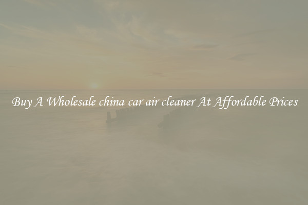 Buy A Wholesale china car air cleaner At Affordable Prices