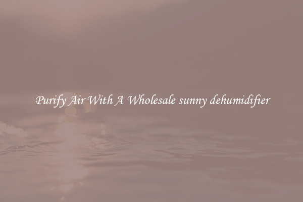 Purify Air With A Wholesale sunny dehumidifier